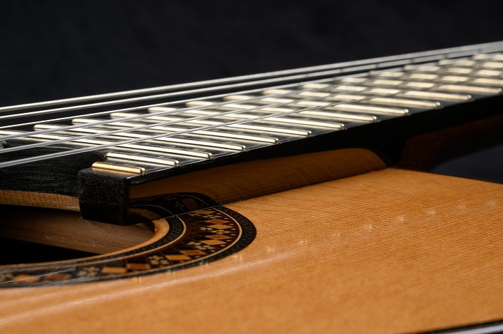 So Kimishima Model Luna Custom