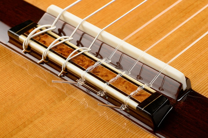 So Kimishima Model Luna