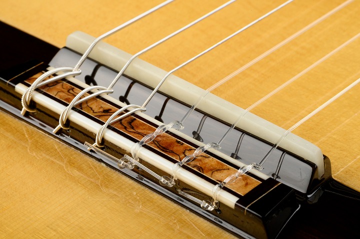 So Kimishima Model Luna